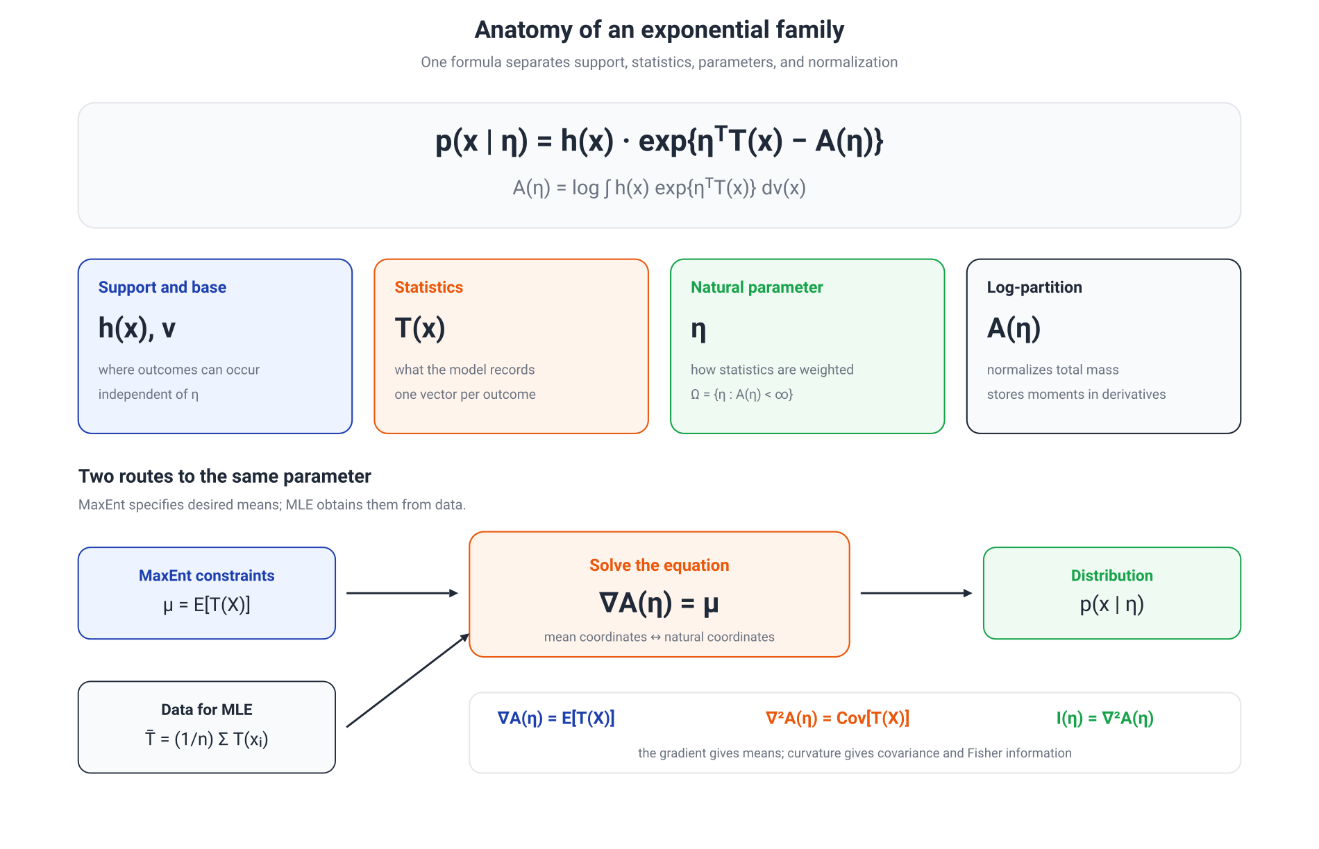 Illustration for: Canonical form: what is fixed and what is learned